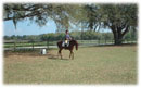 Whispering Spirits Equestrians