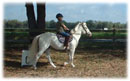 Whispering Spirits Equestrians