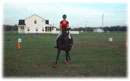 Whispering Spirits Equestrians