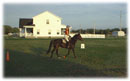 Whispering Spirits Equestrians