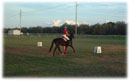 Whispering Spirits Equestrians
