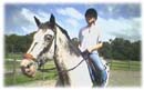 Whispering Spirits Equestrians