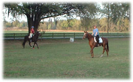 Whispering Spirits Equestrians