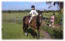 Whispering Spirits Equestrians