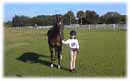 Whispering Spirits Equestrians