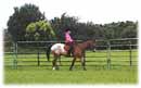 Whispering Spirits Equestrians