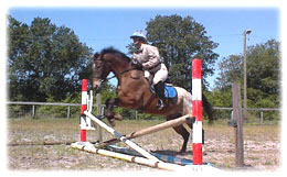 Whispering Spirits Equestrians