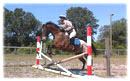 Whispering Spirits Equestrians