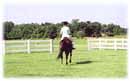 Whispering Spirits Equestrians