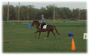 Whispering Spirits Equestrians