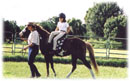 Whispering Spirits Equestrians