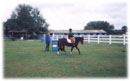 Whispering Spirits Equestrians