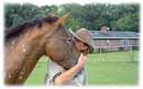Whispering Spirits Equestrians