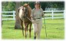Whispering Spirits Equestrians