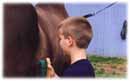 Whispering Spirits Equestrians